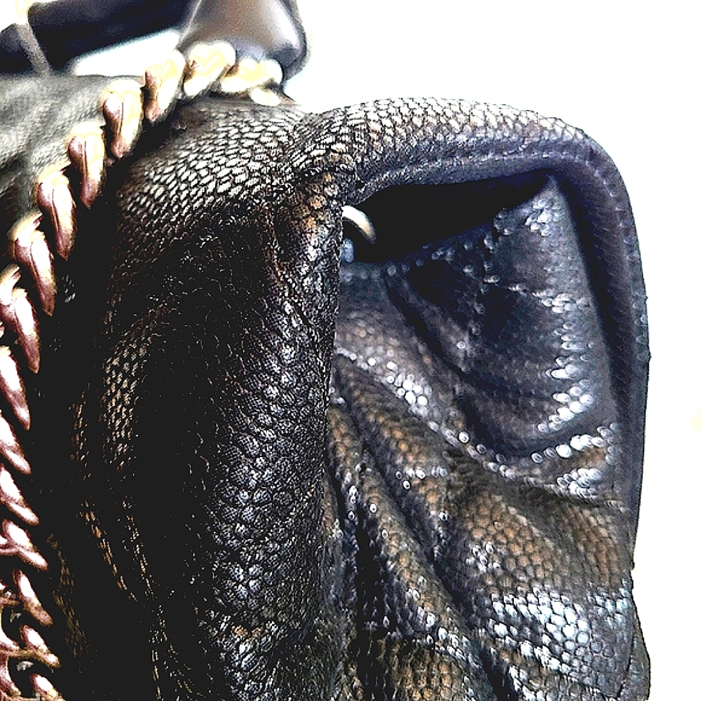 Chanel Iridescent Caviar Quilted Grain Classic Flap Two-Way Crossbody Bag - Picture 10 of 15